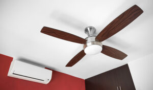 Is the Ceiling Fan Direction Myth Costing You Money? Find Out